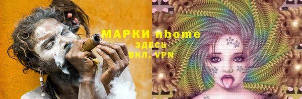 индика Богородицк